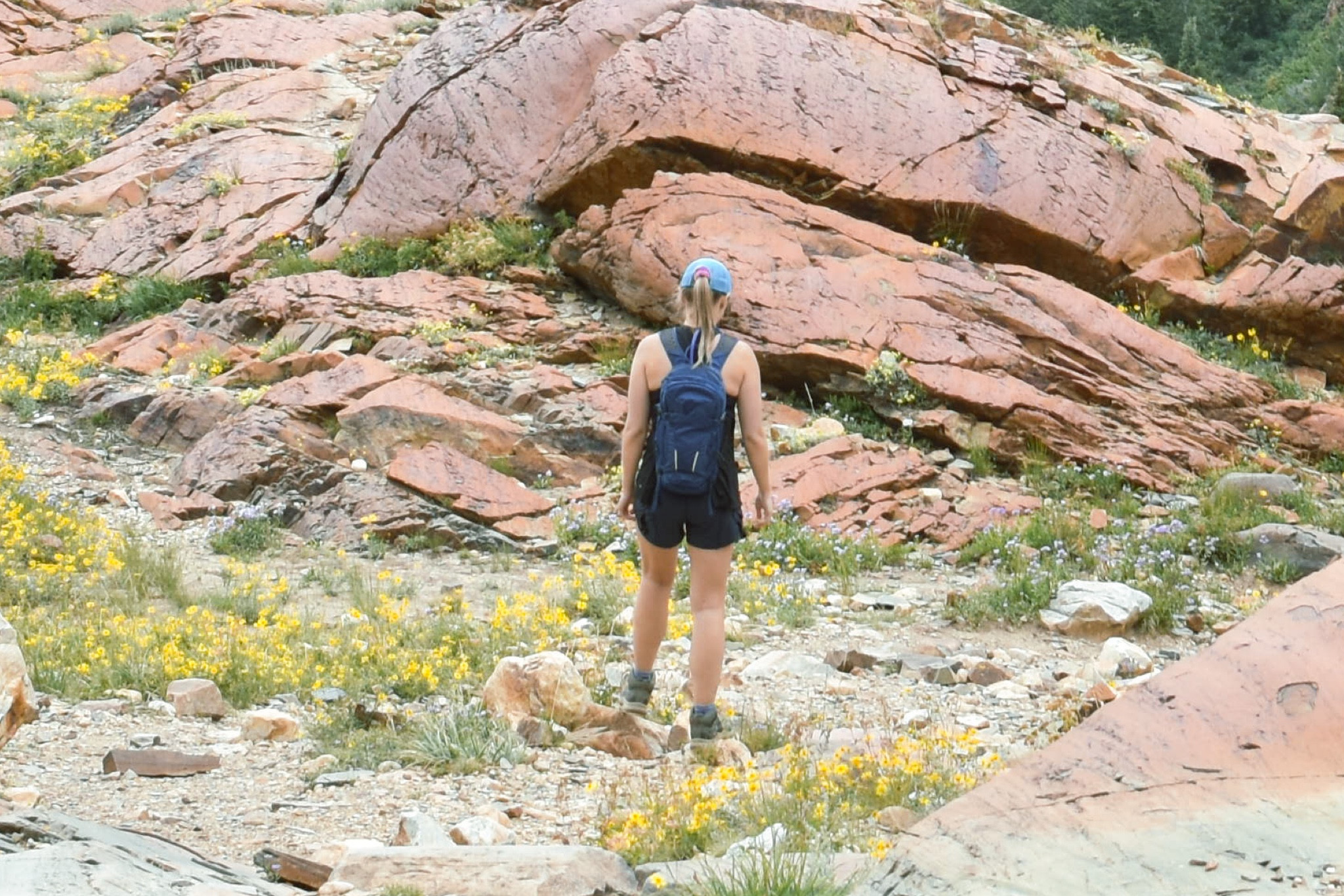 I will never hike again without a Camelbak!!! Absolutely amazing.

#LTKfitness #LTKtravel #LTKitbag