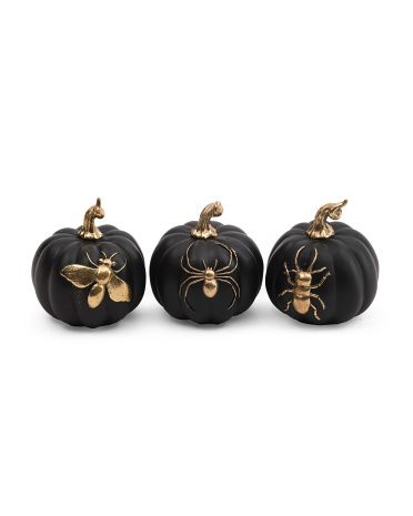 3pc 4in Pumpkins With Insects | TJ Maxx