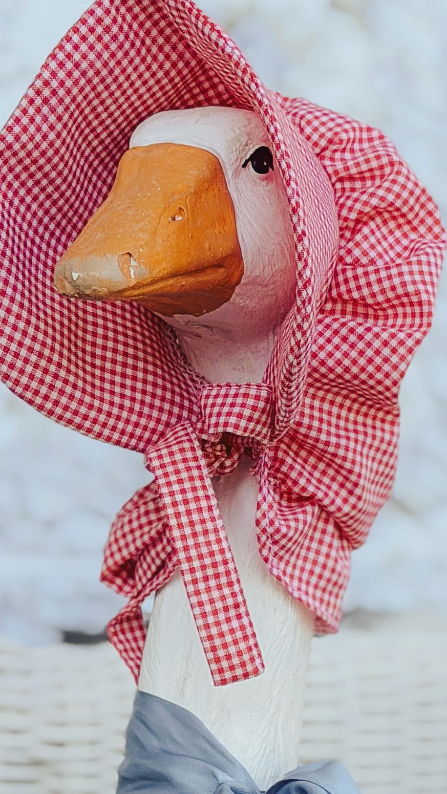 The perfect accessories for a porch goose! 

#LTKSeasonal #LTKHome