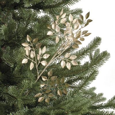 Ruscus Leaf Stems, Set of Six | Frontgate | Frontgate