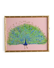 20x16 Peacock Framed Wall Art | TJ Maxx