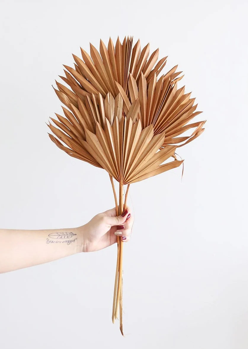 Pack of 5 - Afloral Terracotta Sun Palms | Afloral (US)