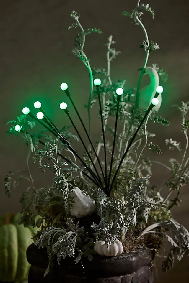Ghostly Green Solar LED Firefly Stake Lights, Set of 2 at Terrain | Terrain