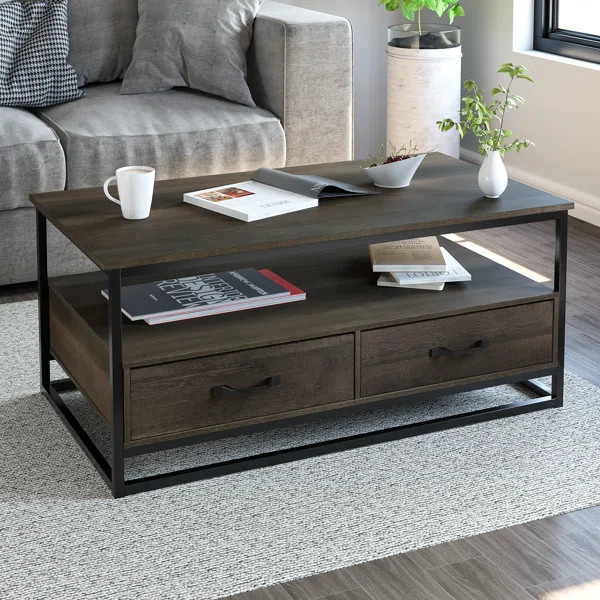 Southside Frame Coffee Table with Storage | Wayfair North America