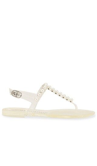 Goldie Jelly Sandal in Clear | Revolve Clothing (Global)