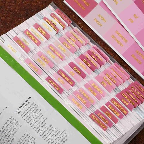 Laminated Bible Tabs, Reposition Large Print Stickers, Easy to Read and Apply Bible Tabs for Women and Man (Gold Foil Pink) | Amazon (US)