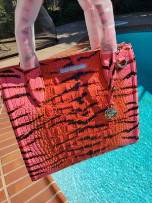 Small Caroline Pink Feline Ombre Melbourne NWT  | eBay | eBay US