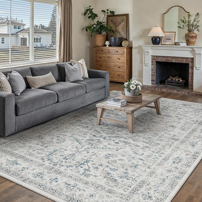 Blue Area Rug 6x9 Vintage Neutral | Amazon (US)