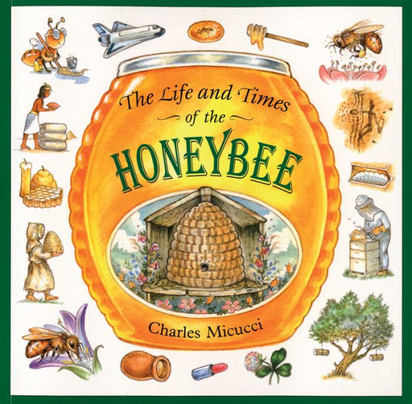 The Life and Times of the Honeybee | Barnes & Noble