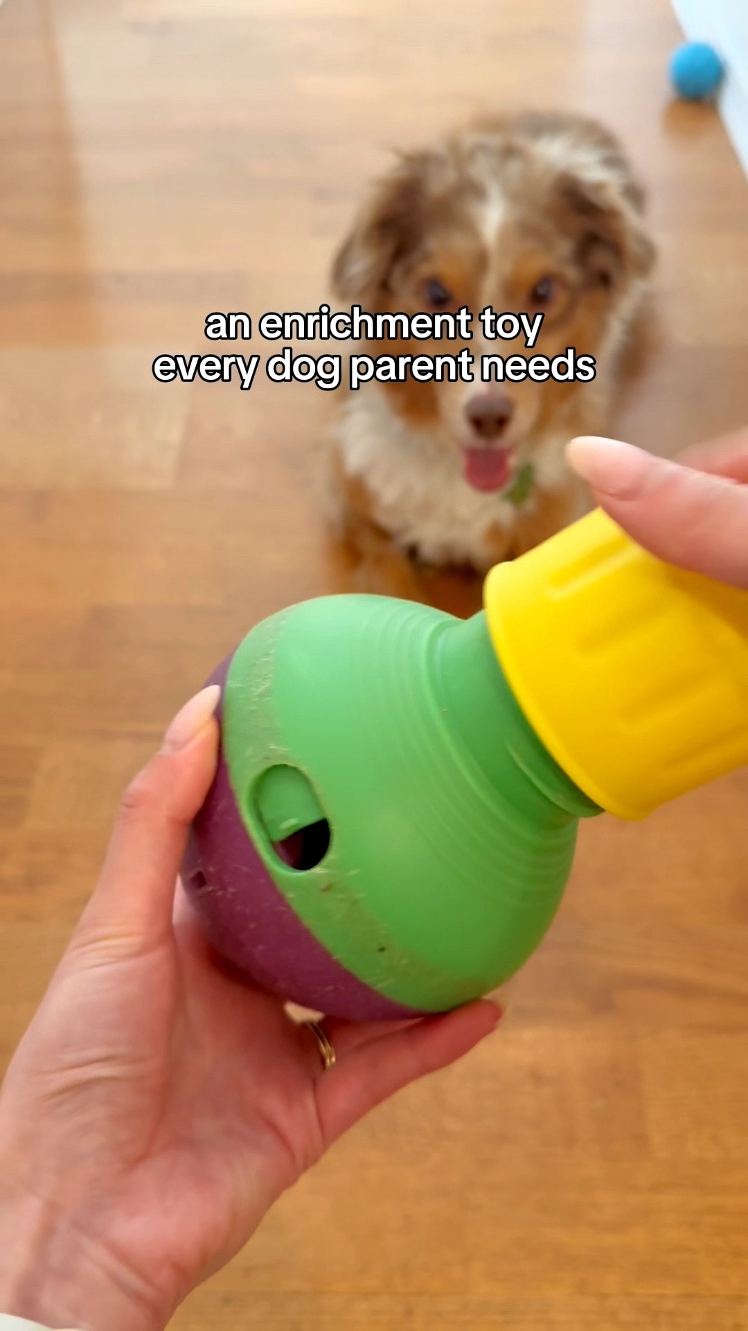 One of my most used enrichment toys! This one has last me over 3 years! 

I love how it has two different adjustment holes to make it customizable for different sizes of food and change the difficulty level! 

#LTKFindsUnder50 #LTKPets
