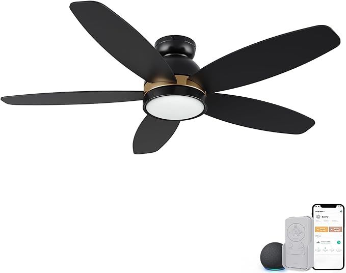 CEME 48" Smart Ceiling Fan with Lights, DC 10 Speeds Reversible Outdoor Ceiling Fan with Remote, ... | Amazon (US)