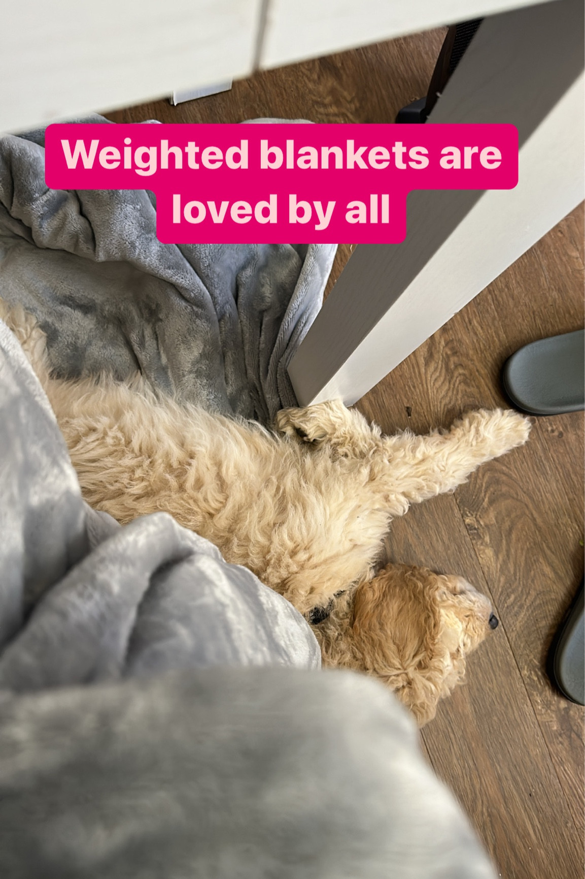 Weighted blankets are such a great gift. I use mine year round for comfort and warmth

#LTKunder50 #LTKGiftGuide