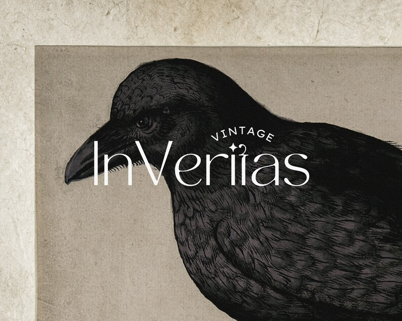 Vintage Raven Art Dark Cottagecore Moody Fall & Halloween - Etsy | Etsy (US)