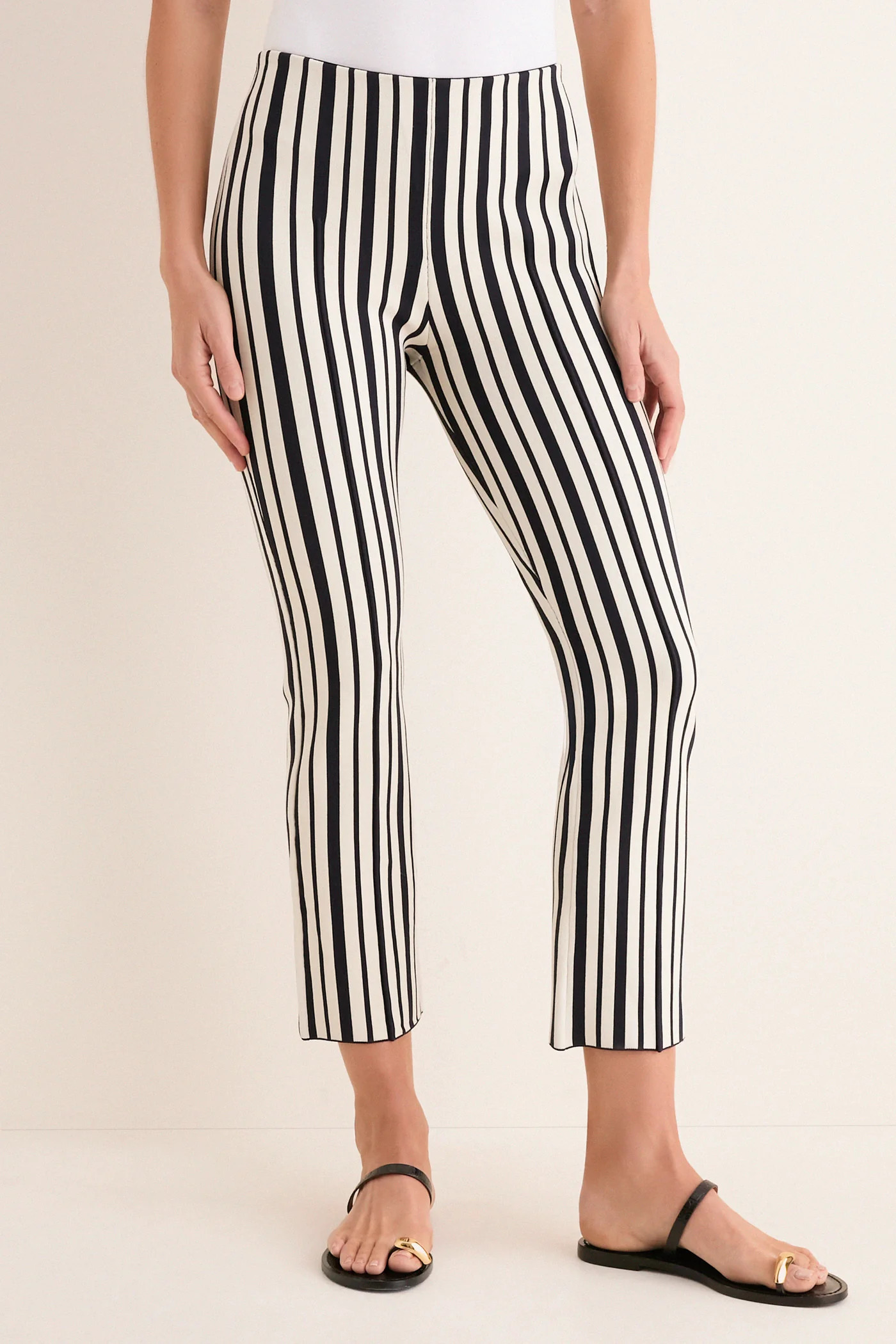 Midnight Stripe Knit Ashford Pants | Tuckernuck (US)