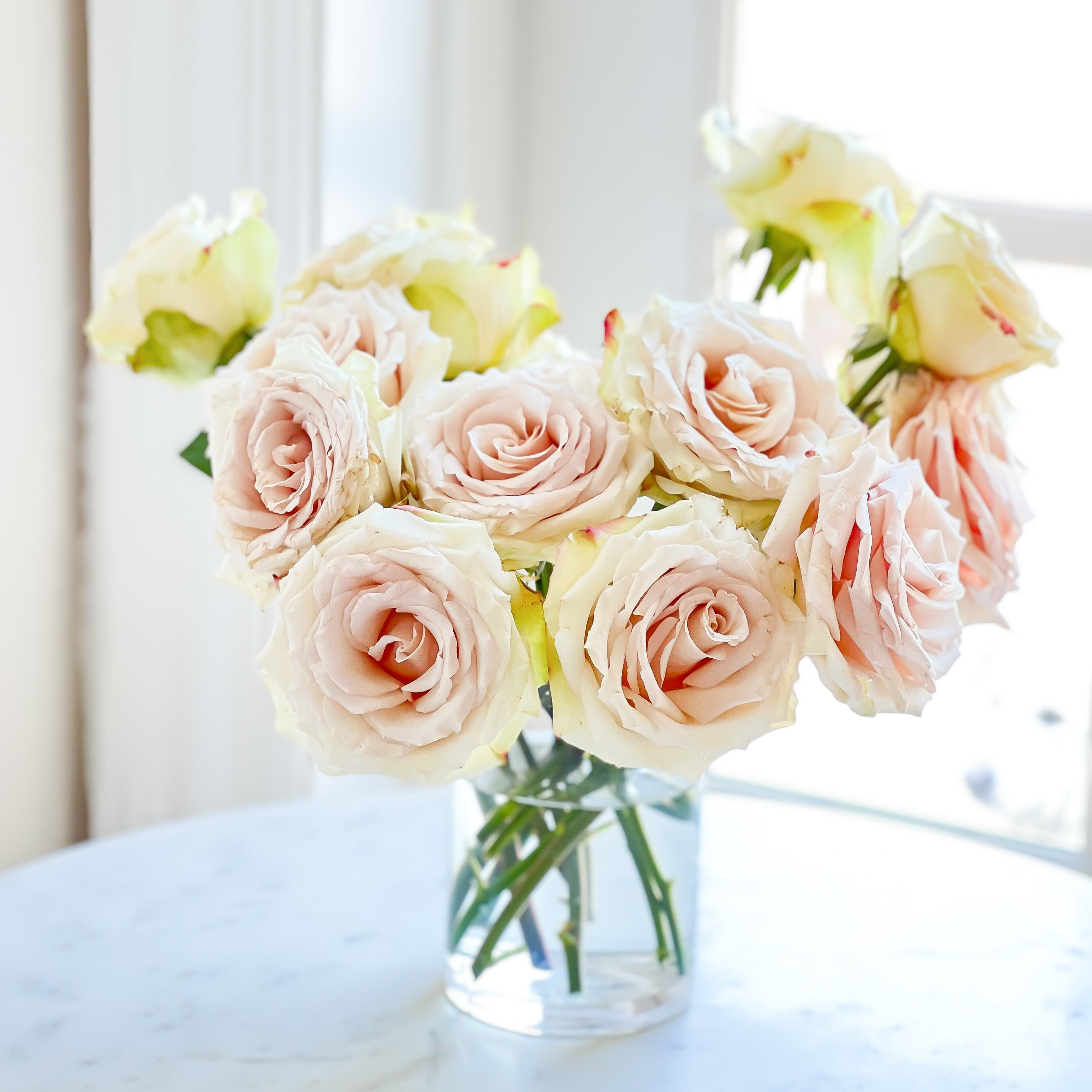 Quicksand | Grace Rose Farm