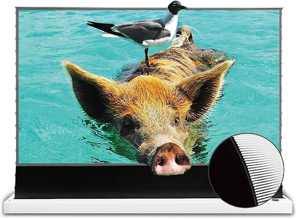 VIVID STORM SINCE 2004-Projector Screen Retractable S PRO 72inch Ceiling/Ambient Light Rejecting ... | Amazon (US)