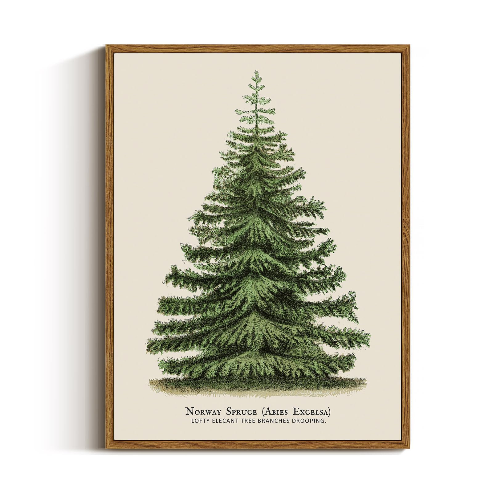 VIYYIEA Framed Canvas Wall Art, Vintage Christmas Decor, Living Room Botanical Fir Pine Tree Wint... | Amazon (US)