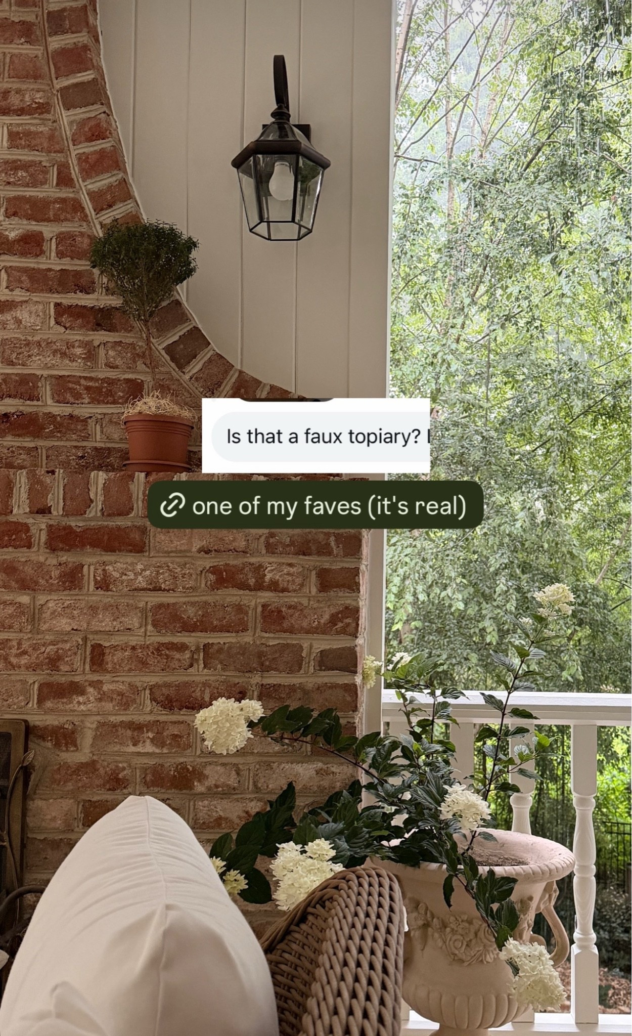 Live topiary 🌱

#LTKSeasonal #LTKHome