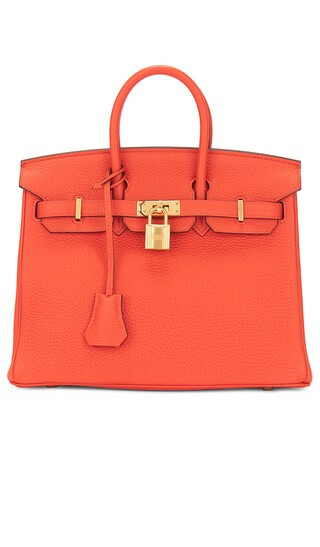 Hermes Togo Birkin 25 Handbag in Orange | Revolve Clothing (Global)