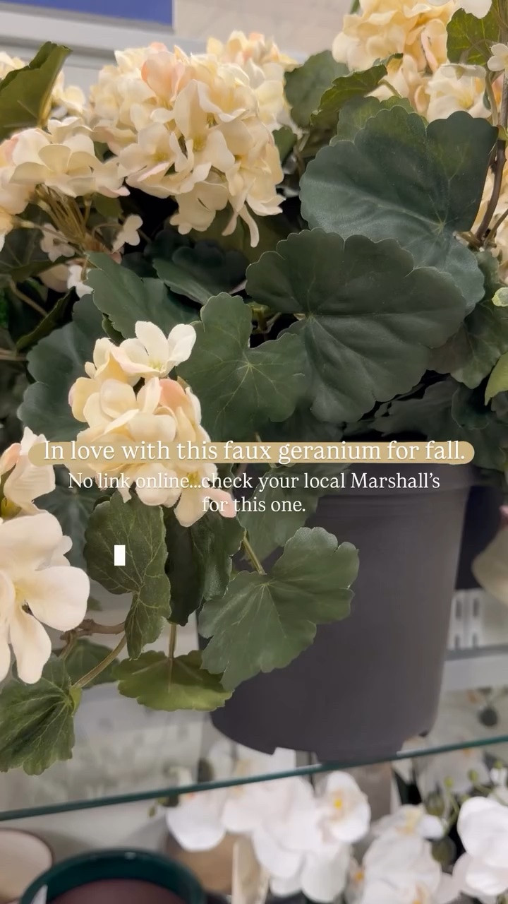 In love with this faux geranium for fall. No link online…..check your local Marshall’s for this one.
