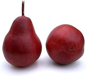 Artificial 4" Pear, Red, Box of 12 Fake Decorative Fruit | Amazon (US)