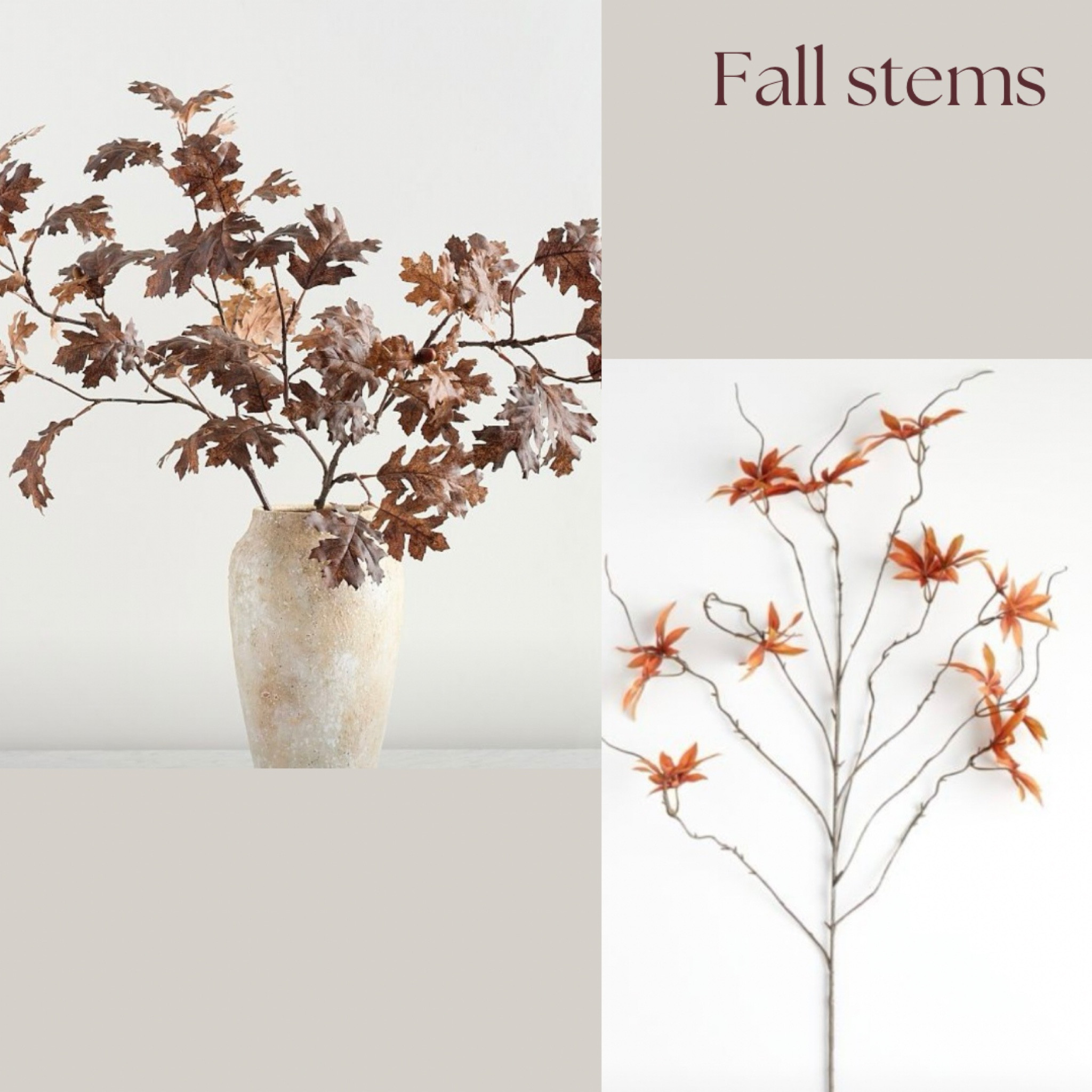 Fall stems 🤎

#LTKHome #LTKFallSale #LTKStyleTip