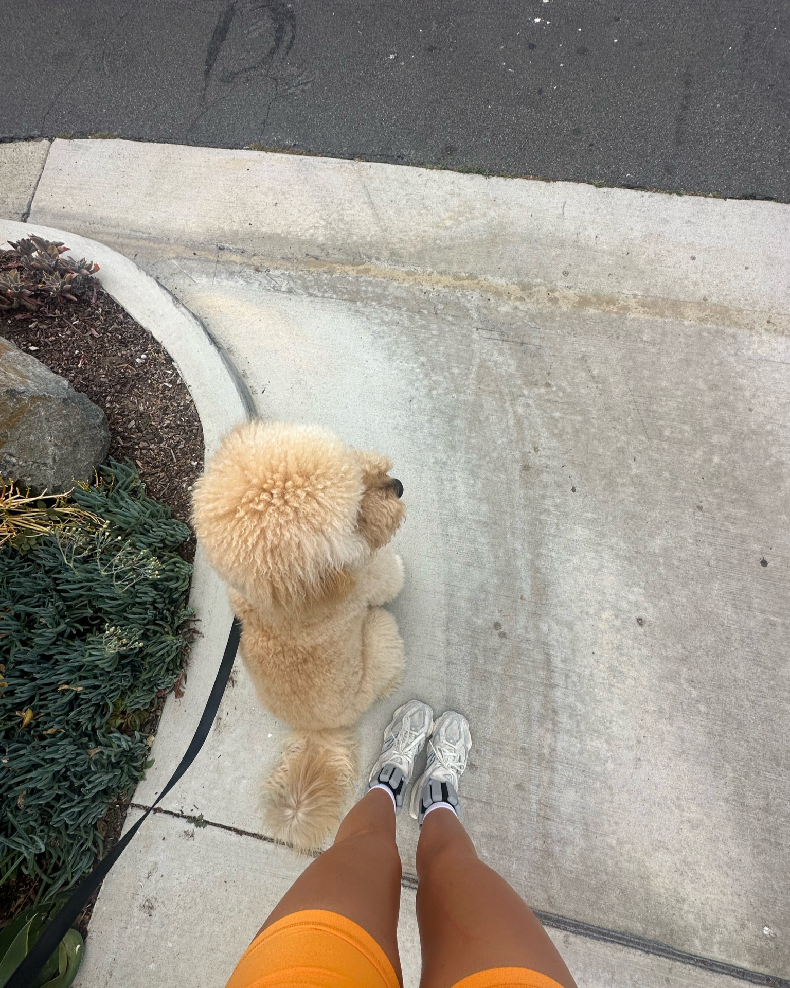 walking weights