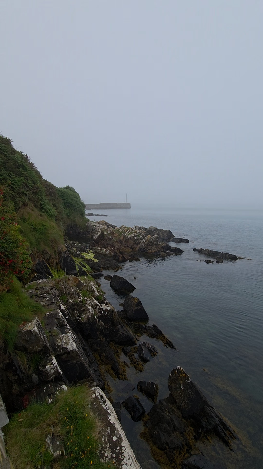 MUSINGS from Ireland
perfect items to pack for memorable travel and picture perfection

#LTKOver40 #LTKStyleTip #LTKTravel