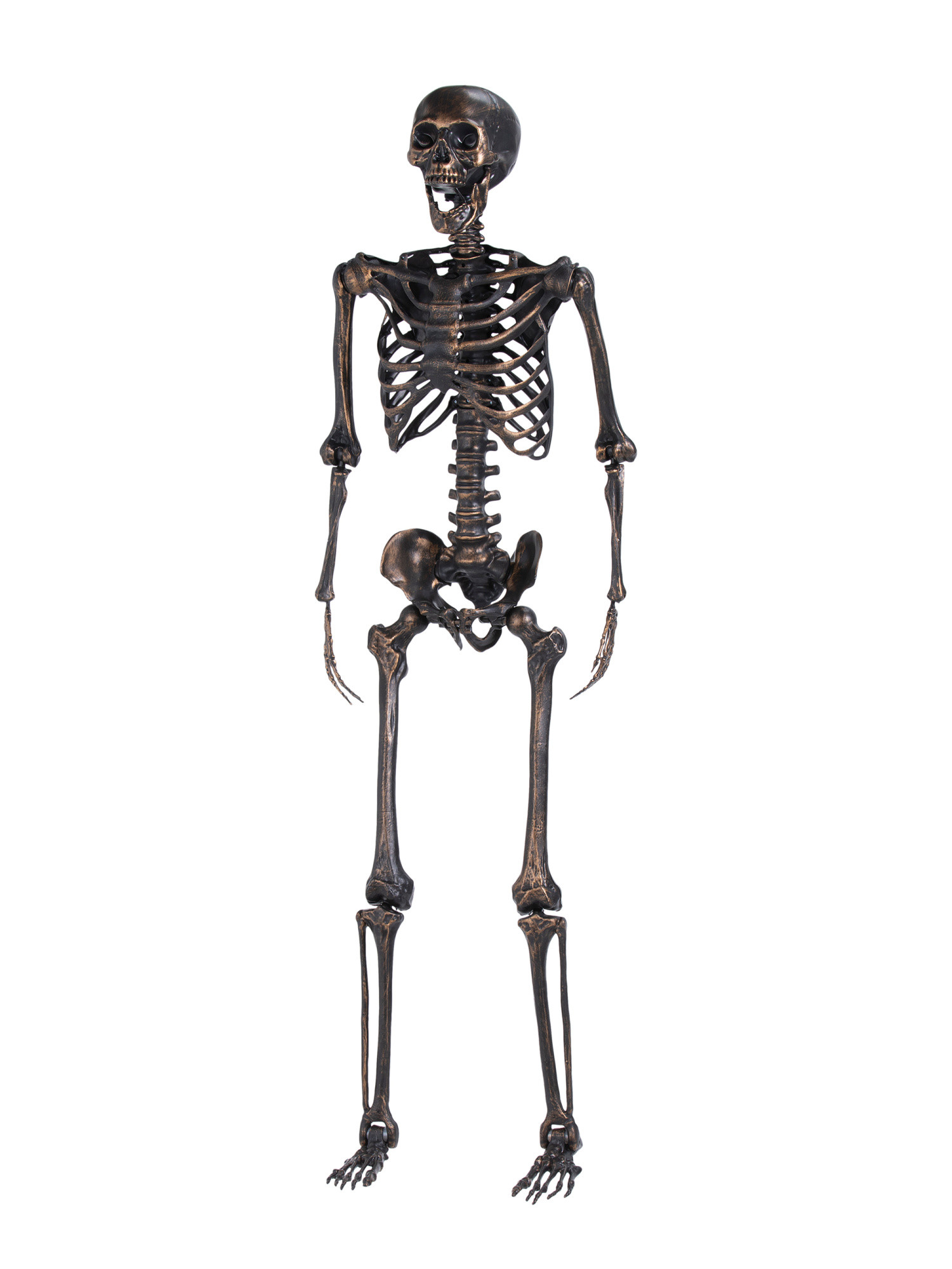 61in Lifesize Posable Skeleton | TJ Maxx