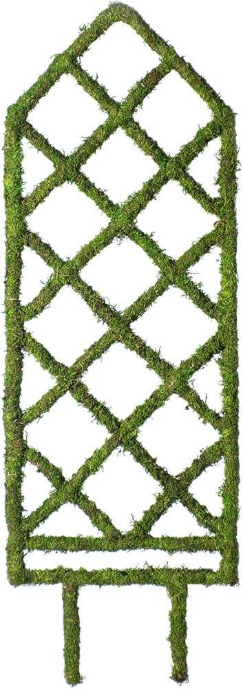 Ashland 31.5" Moss Diamond Plant Trellis, Spring Floral for Crafting and Home Decor | Amazon (US)