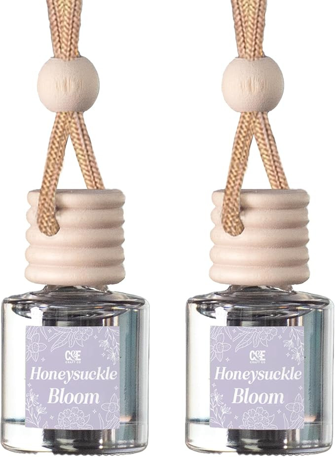 C&E Craft Co Hanging Car Air Freshener Diffuser 2 Pack, Long Lasting Fragrance Oil Car Freshener,... | Amazon (US)