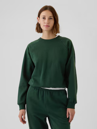 Vintage Soft Raglan Sweatshirt | Gap (US)
