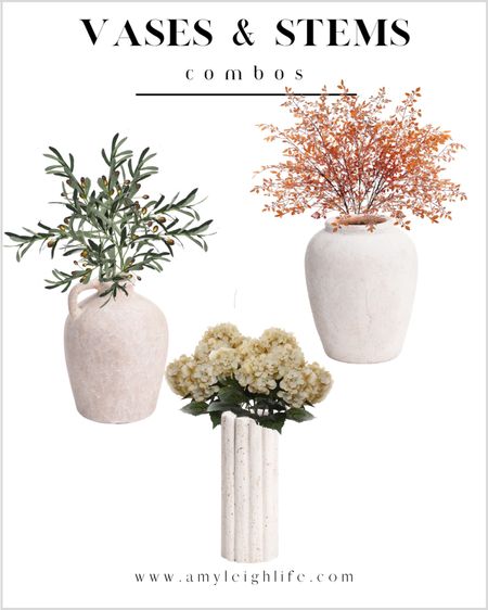Vases and stems for fall and everyday decor. 

Vase, vase decor, vase filler, black vase, tall vase, ceramic vases, glass vase, amazon vase, fluted vase, flower vases, large vase, small vase, short vase, terracotta vase, stems, floral stems, greenery stems, faux stems, amazon stems, fall stems, stems for fall, stems for winter, stems for spring, stems for summer, green stems, red stems, faux branch, faux foliage branch, orange stems, brown stems, afloral, amazon decor, home decor amazon, home decor finds, budget friendly home, budget friendly decor, bathroom decor, bookshelf decor, bookcase decor, cabinet decor, counter decor, console decor, cabin decor, corner decor, cottage decor, vase and stems, desk decor, bedroom dresser decor, office desk decor, dresser decor, entryway decor, entry decor, entry way decor, end table decor, entryway table decor, entry way table decor, entrance decor, table decor, dining room decor, bedroom decor, nightstand styling, nightstand decor, bedside table decor, foyer decor, farmhouse decor, fireplace decor, fall decor, summer decor, spring decor, winter decor, modern farmhouse decor, family room decor, fireplace mantle decor, fireplace mantel decor, mantel decor, mantle decor, fall mantel, fall mantle, fall entryway, fall entry way, fall decor, fall home decor, guest room decor, guest bathroom decor, budget friendly decor, house decor, home decor, homedecor, living room inspo, living room ideas, living room decor, home decor bedroom, hallway decor, home decor on budget, home decor 2023, home decor 2024, fall 2023, Amy leigh life, side table decor, office decor, counter styling, counter decor, kitchen counter decor, kitchen island decor, shelf decor, shelf styling, coffee table styling, coffee table decor, buffet decor, dining table centerpiece, dining table decor, dining room decor, bedroom decor, home decoration, affordable home decor, Tjmaxx, tj tjmaxx, hydrangea, faux hydrangeas, fall, Amazon fall, fall decor, fall finds, fall decor finds, fall home decor, fall home decor find

#amyleighlife
#vases

Prices can change at any time. 

#LTKhome #LTKunder50 #LTKFind