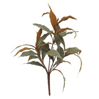 19" Green & Brown Long Leaf Eucalyptus Bush by Ashland® | Michaels Stores