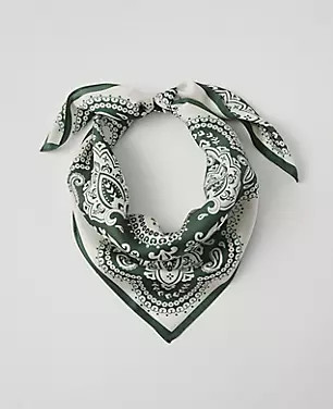 Paisley Silk Little Scarf | Ann Taylor