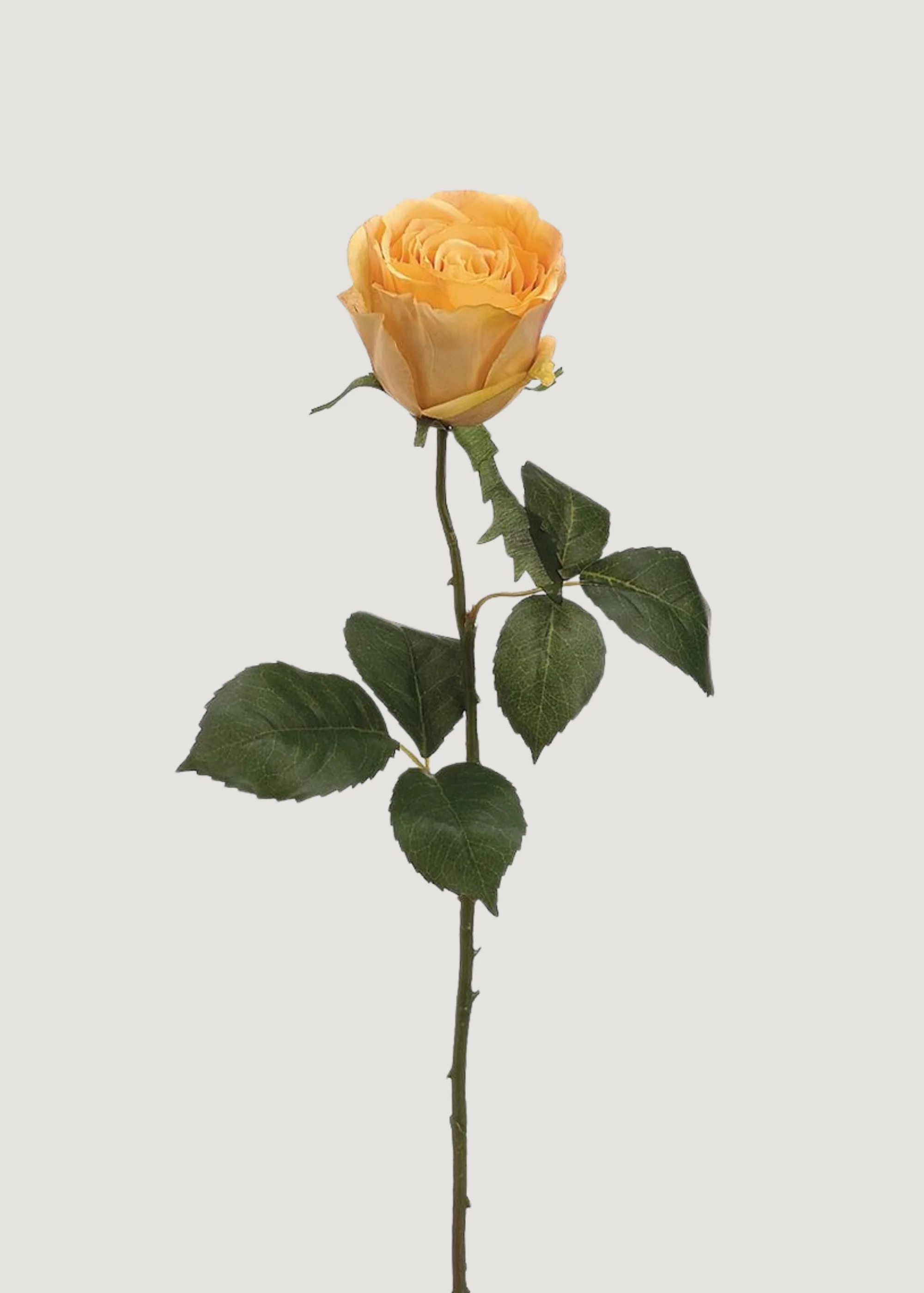 Yellow Gold Half Open Rose Fake Flower - 22" | Afloral