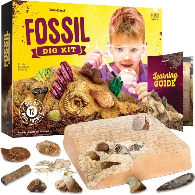 Dan&Darci Fossil Dig Kit for Kids -  Mega Science Kits for Boys & Girls Age 8-13 | Walmart (US)