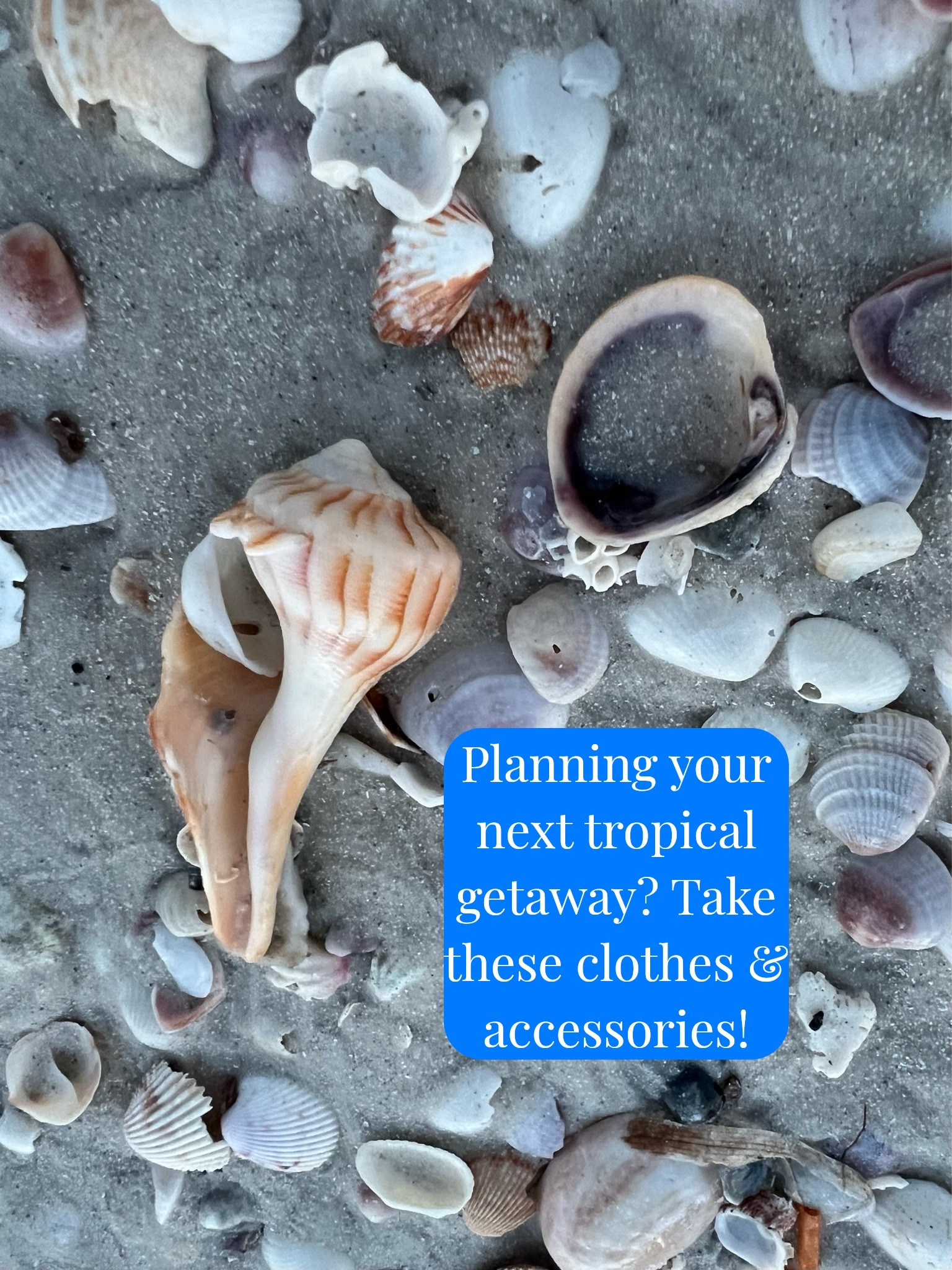Planning your next tropical getaway? Take these clothes and accessories!



#LTKSeasonal #LTKOver40 #LTKSaleAlert #LTKTravel #LTKgrwm #LTKootd #LTKMidsize #LTKSwim