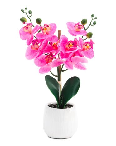 15in Real Touch Orchid In White Pot | Marshalls