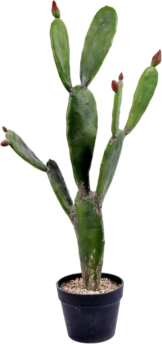 Vickerman Everyday 34" Artificial Green Cactus in a Black Plastic Planters Pot - Faux Indoor Pott... | Amazon (US)