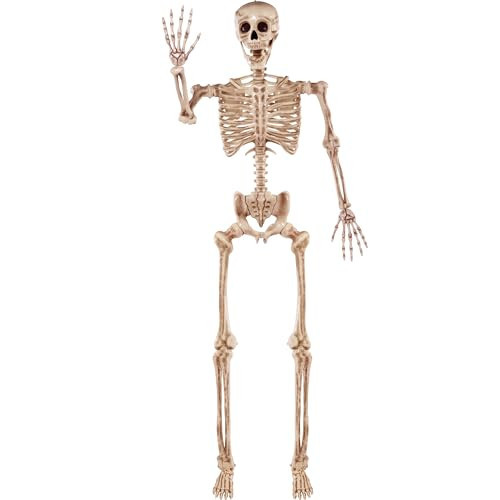JOYIN 5.6 FT Halloween Posable Life Size Skeleton, Full Body Realistic Bones with Movable Joints, Giant Skeletons Halloween Decorations for Indoor Outdoor Haunted House Props, Spooky Scene Party Decor | Amazon (US)
