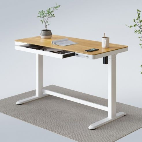 Comhar All-in-One Standing Desk Wooden Top - 48" W | FlexiSpot