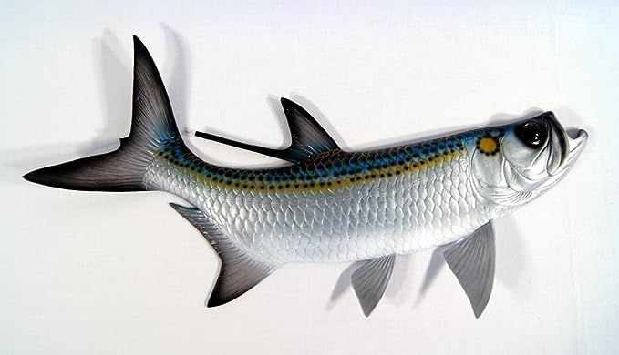 Charlotte International Replica Tarpon Saltwater Game Ocean Fish Wall Decor 28" | Amazon (US)