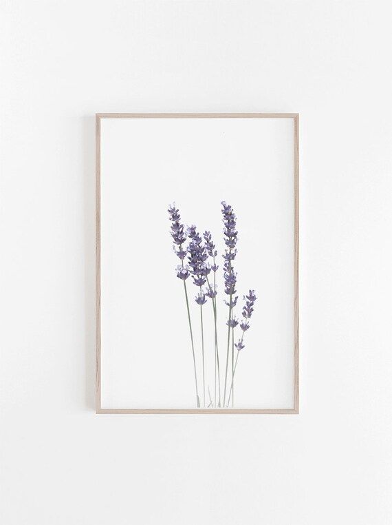 Lavender Print,Watercolour Print,Botanical Print,Lavender Wall Art,Botanical Wall Art,Lavender Art P | Etsy (US)