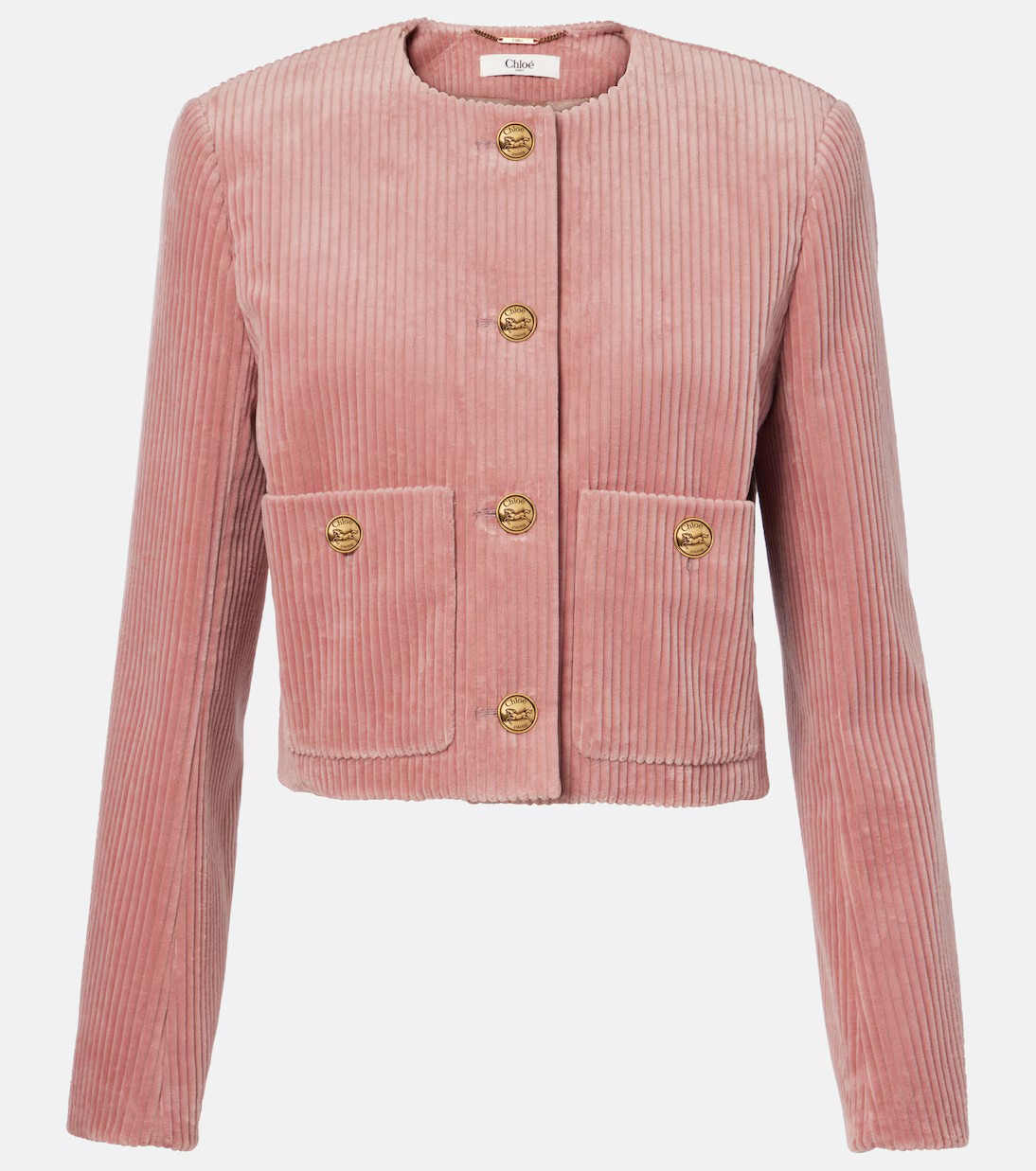Cotton velvet corduroy jacket | Mytheresa (US/CA)
