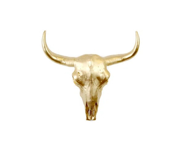 Gold Skull Faux Taxidermy Wall Decor | Wayfair North America