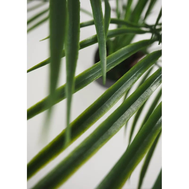 Faux Botanical Areca Palm in Green Finish 59" Height | Wayfair North America