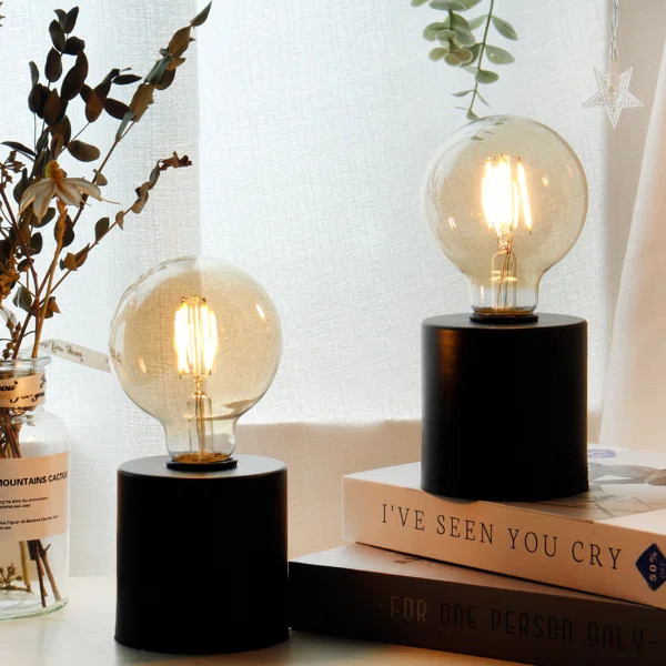 Argenis Metal Novelty Lamp (Set of 2) | Wayfair North America