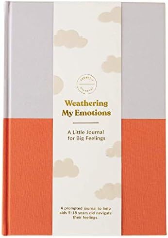 Promptly Journals Emotions Journal - Weathering My Emotions: A Little Journal for Big Feelings - ... | Amazon (US)