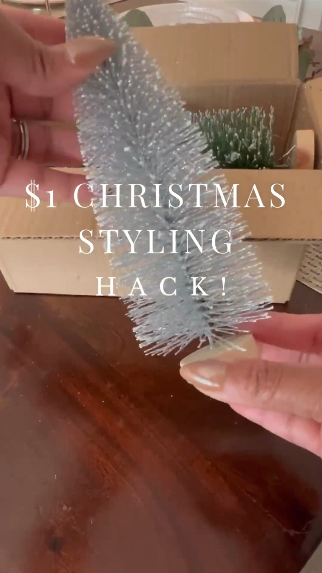 $1 CHRISTMAS HACK YOU NEED! 

#LTKHome #LTKStyleTip #LTKSeasonal